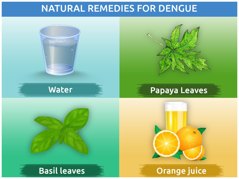 Natural Remedies For Dengue 