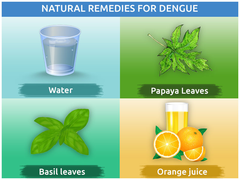 Natural Remedies For Dengue Fever Treatment At Home