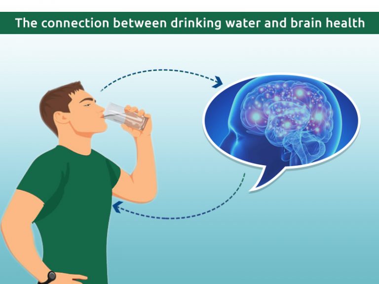 Dehydration Alters Human Brain Shape And Activity What 39 S Goin On Qatar